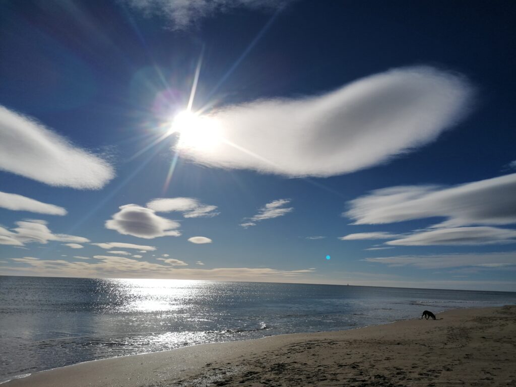 photo du site Les Possibles, prise par Aline Boyer, réflexion stratégique en communication digitale, Occitanie, France